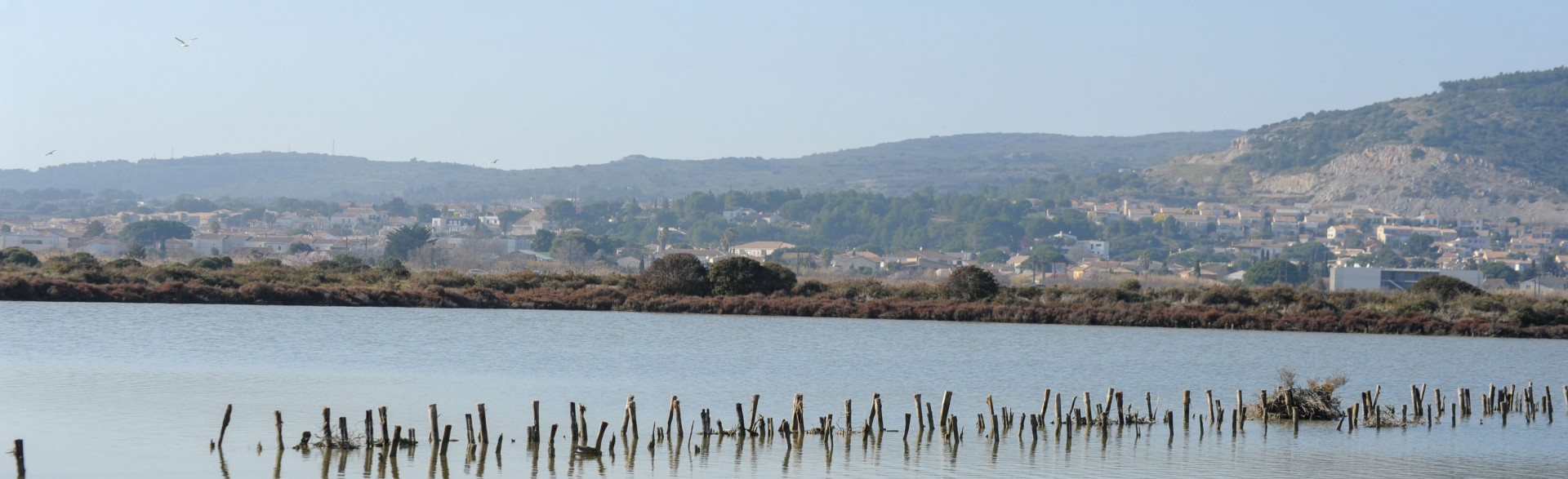 Les anciens salins de Frontignan