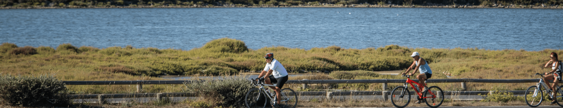 Les établissements Accueil Vélo de Frontignan