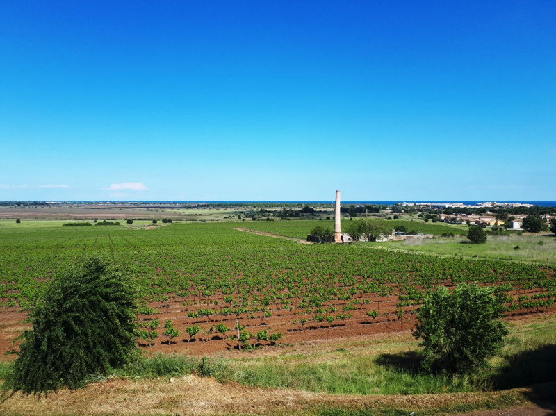Fascinants week-ends - Vignobles et Découvertes
