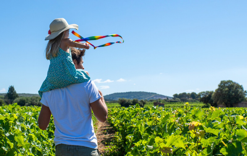 Les incontournables de Frontignan