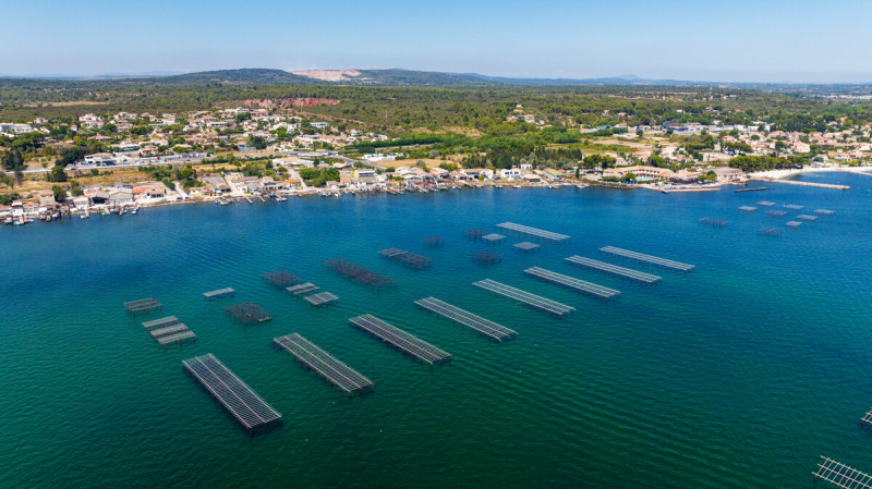 Un peu plus loin en Occitanie