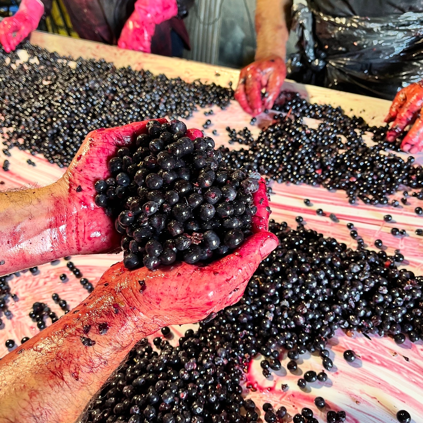 18DA4E95-677C-43BA-97EE-27C4EFBE1D52