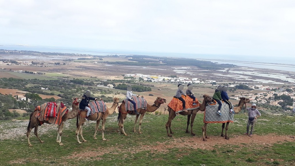 Dromasud_balade_garrigue