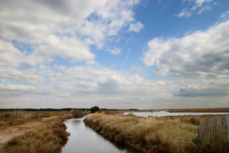 Salins_frontignan