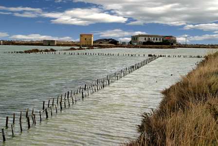 bouger-SALINS