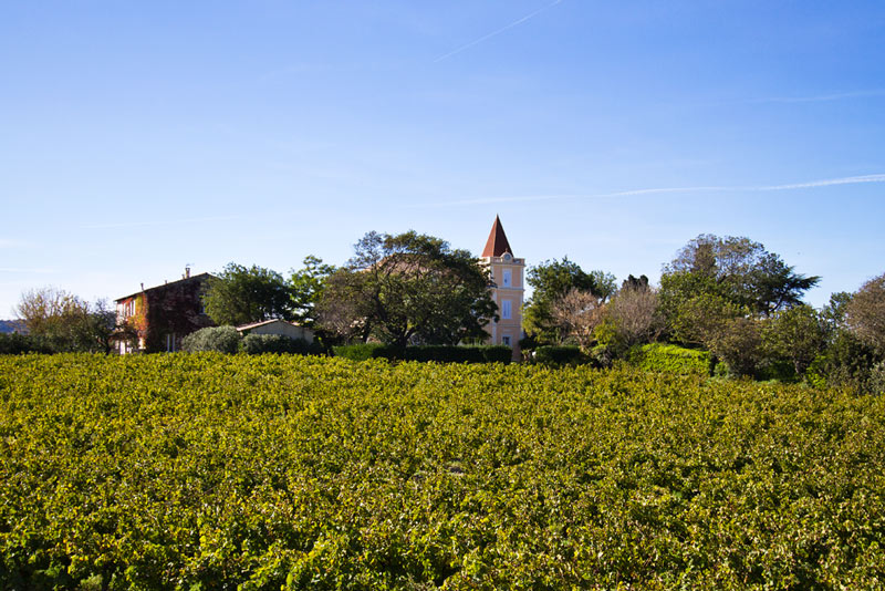 Chateau-la-peyrade-et-vignes