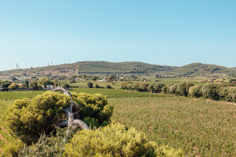 maison-stony-location-vacances-herault-gite-frontignan