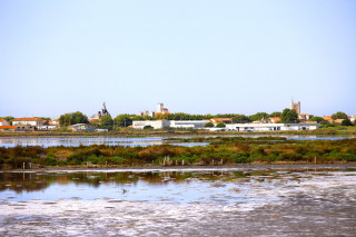Les anciens salins de Frontignan