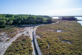 Le bois des Aresquiers