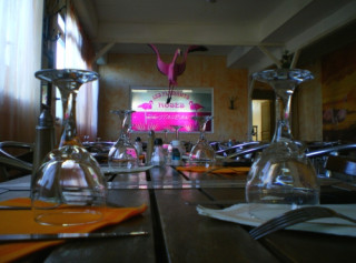 Flamant Rose 4 - TSF