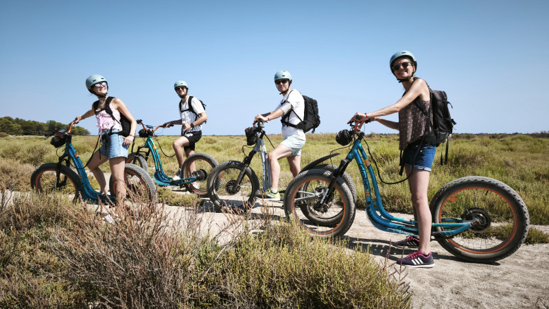 Balade en Trott tout terrain au Bois des Aresquiers Balade en Trott tout terrain au Bois des Aresquiers
