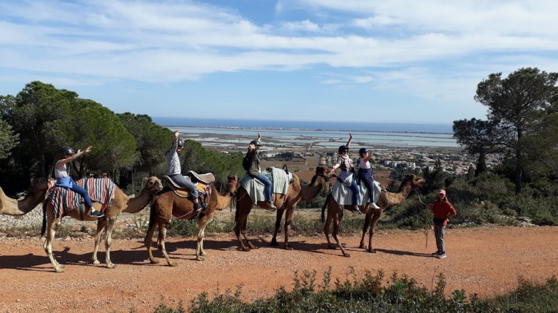 Dromasud_balade_Gardiole_garrigue