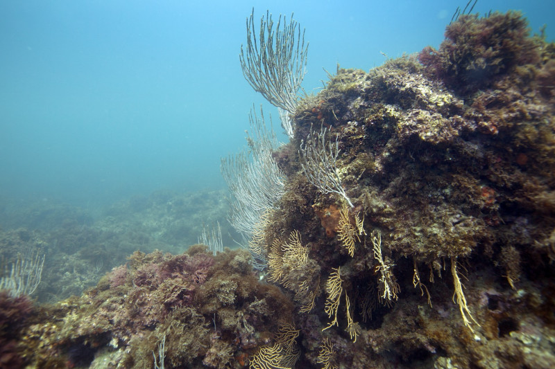 paysage des Aresquiers