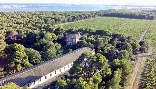 vue-du-ciel-domaine-du-mas-rouge-352319