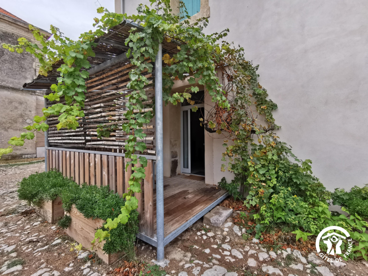 34G10808 - Lentisque_4