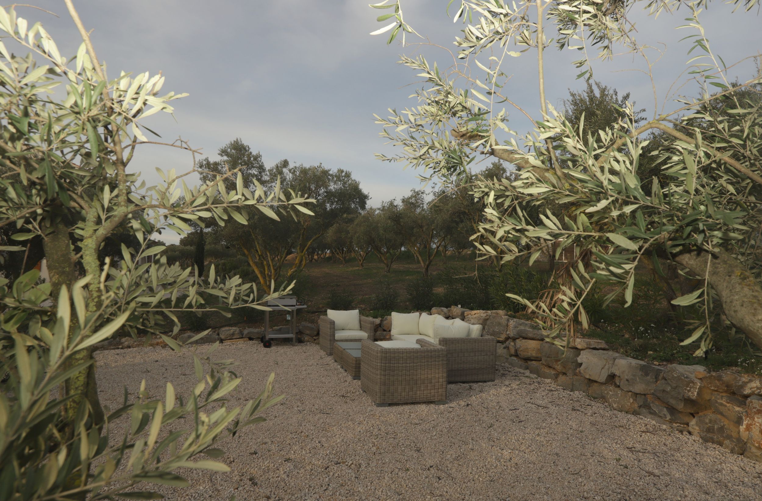 Gîte LAVANDE - LES TERRASSES DE L'OLIVERAIE_04