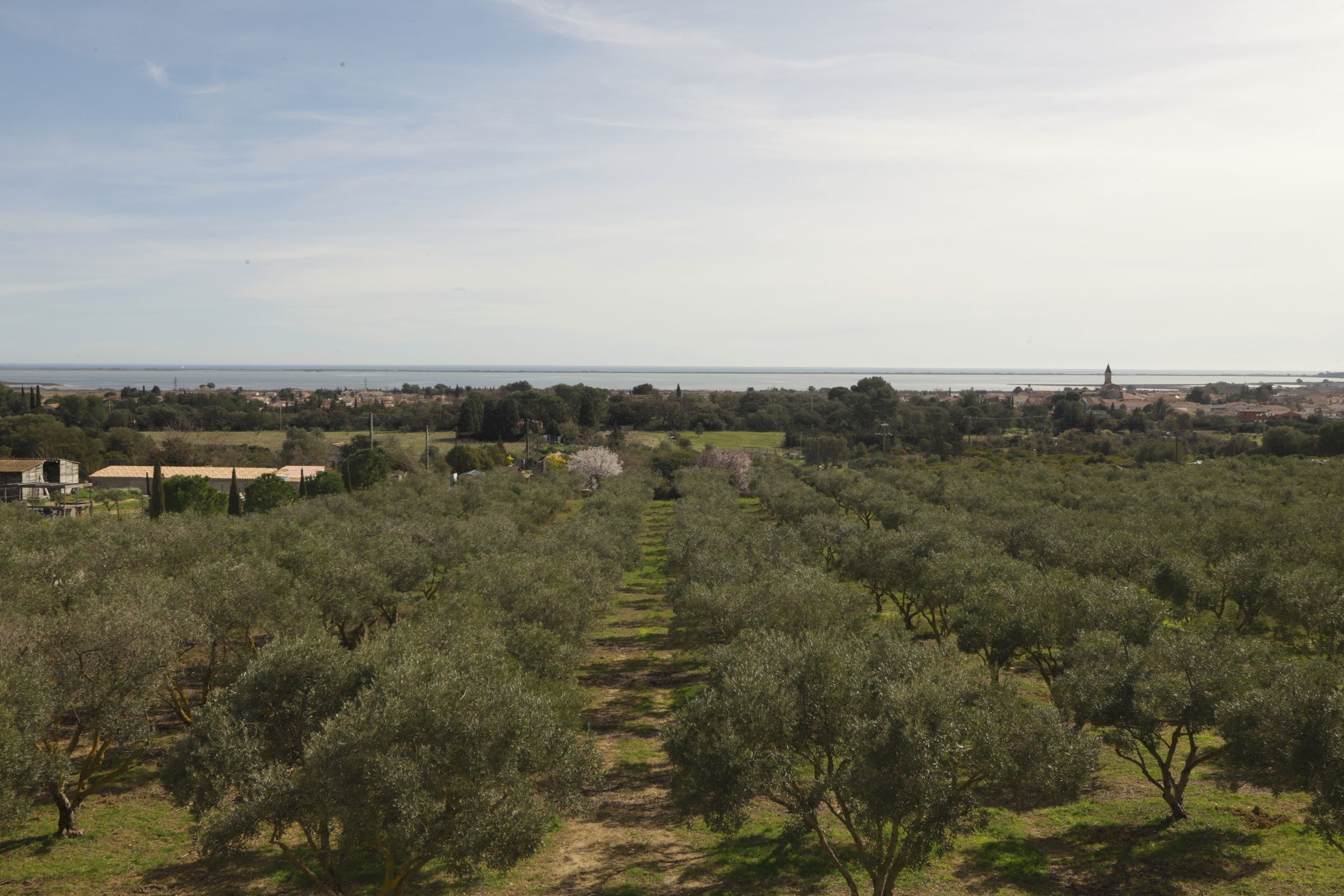 Gîte LAVANDE - LES TERRASSES DE L'OLIVERAIE_33