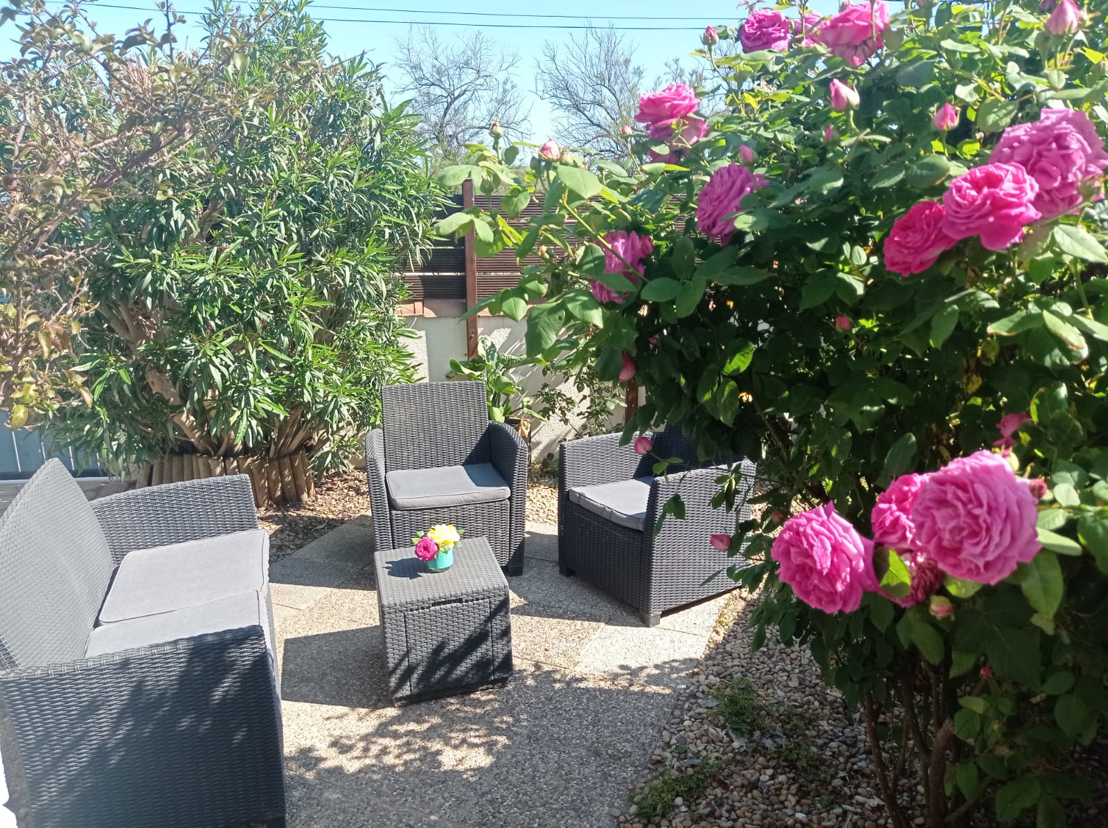 LOCATION FRONTIGNAN 4 PLACE DES GALETS BERNARD TIFFANY  (2)