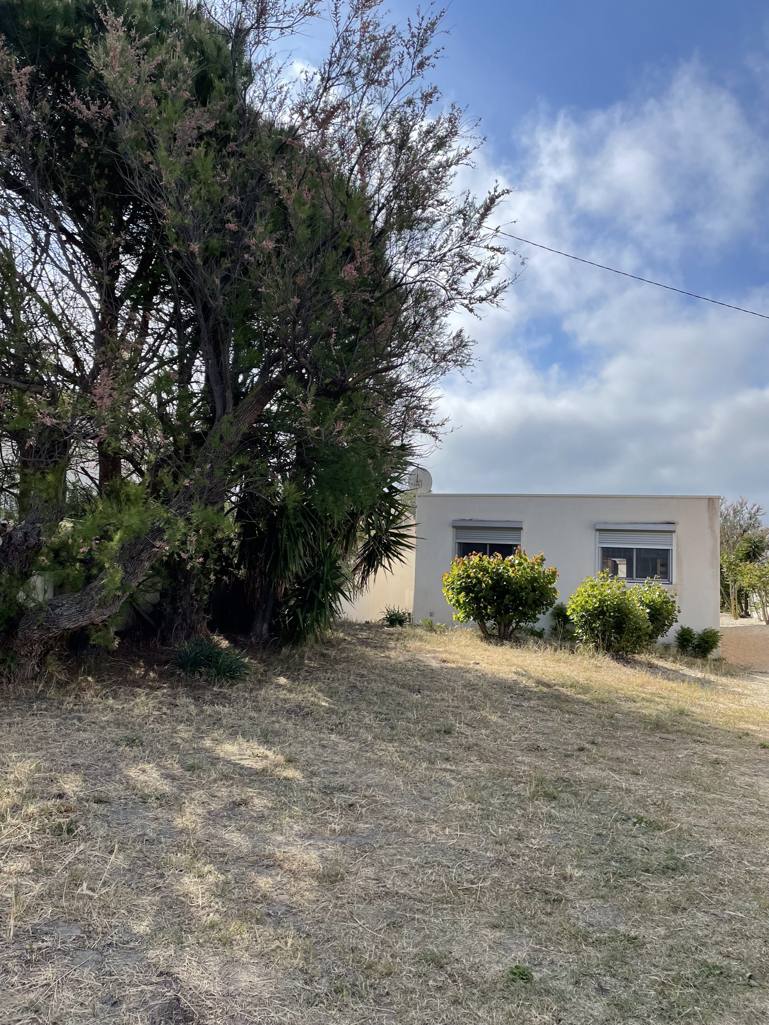 LOCATION FRONTIGNAN AVENUE VAUBAN DEDIEU CHOLLET ANNE (4)