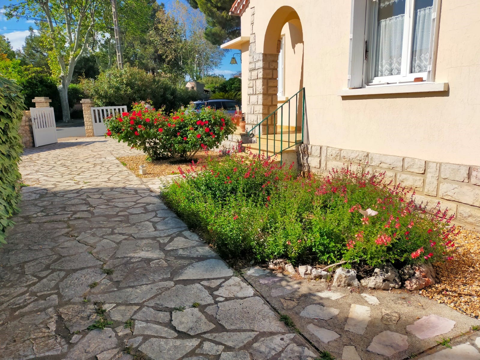 LOCATION FRONTIGNAN BOULEVARD GAMBETTA GROS MARIE-PIERRE (9)