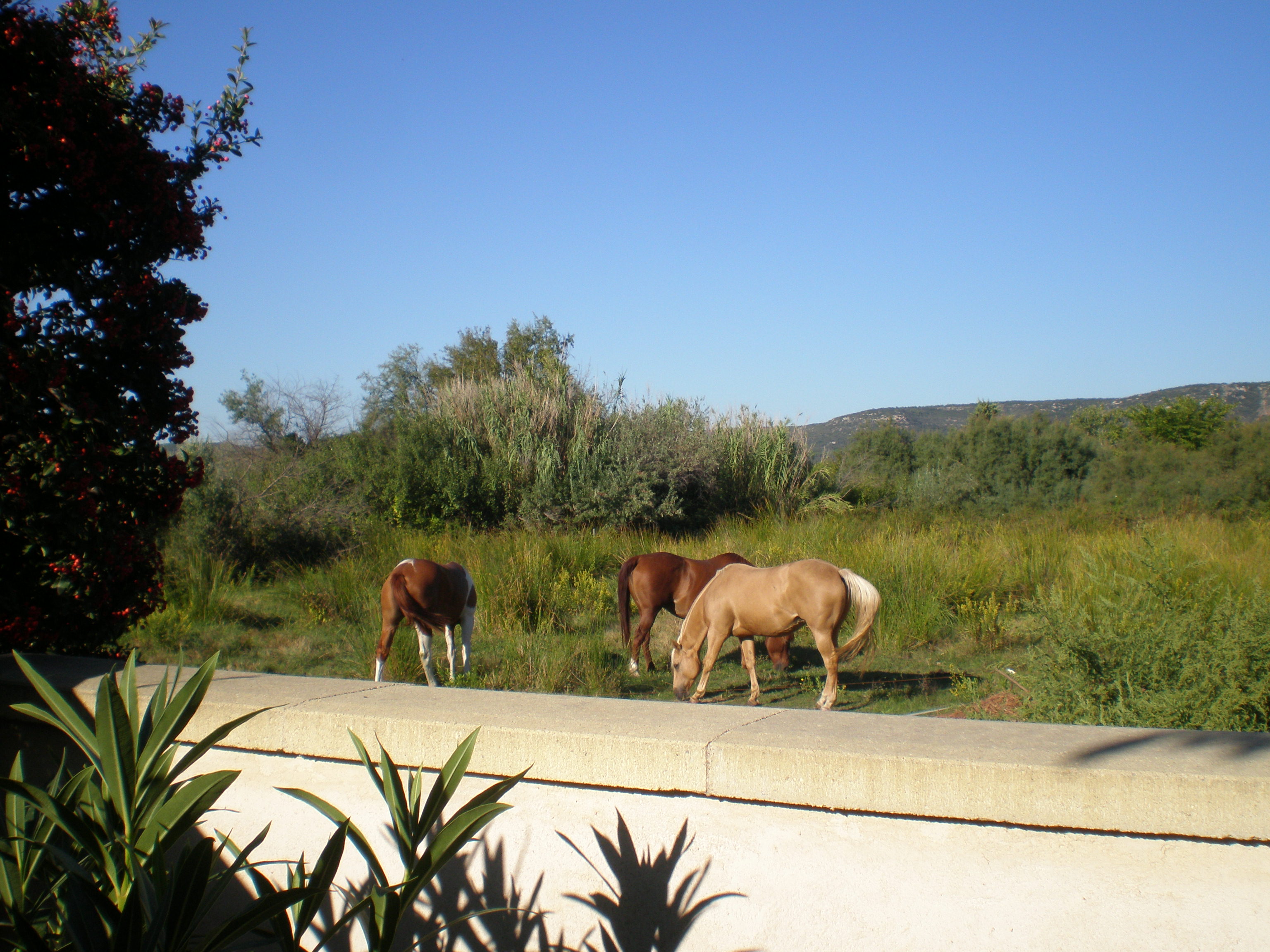 LOCATION VIC LA GARDIOLE RESIDENCE LES MAISONS DU SOLEIL SIMONET ROLAND (10)