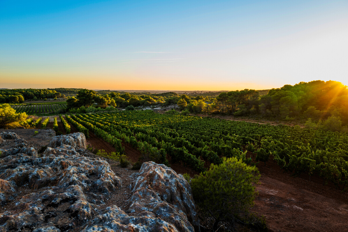 Coucher de soleil sur la garrigue - © Office de Tourisme Archipel de Thau