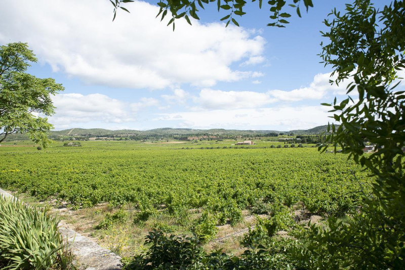 GITE DOMAINE DE SELHAC SALA CAROLINE 1