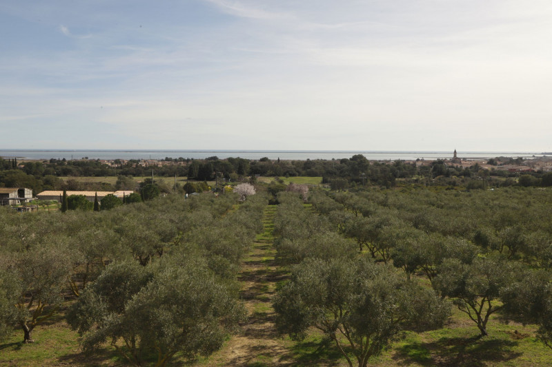 Gîte LAVANDE - LES TERRASSES DE L'OLIVERAIE_33