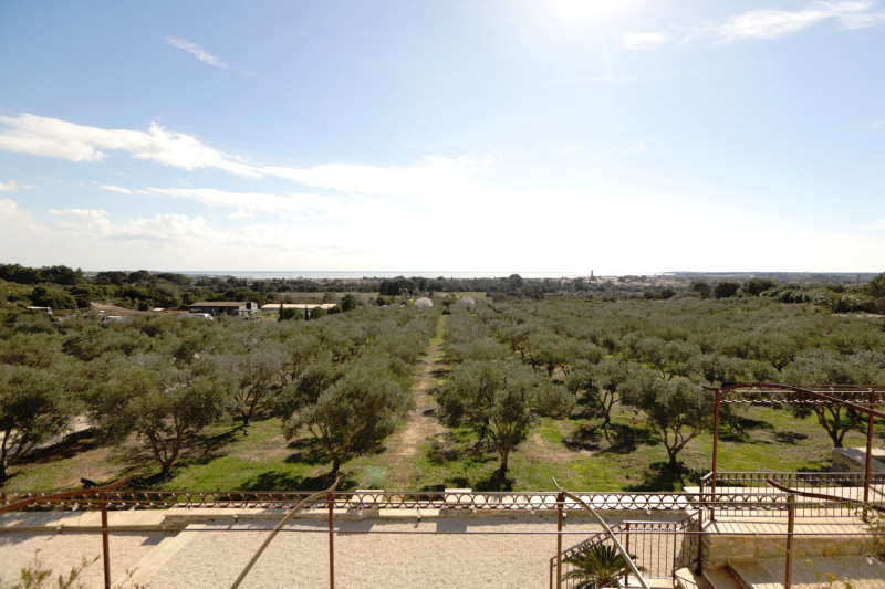 Gîte LAVANDE - LES TERRASSES DE L'OLIVERAIE_43