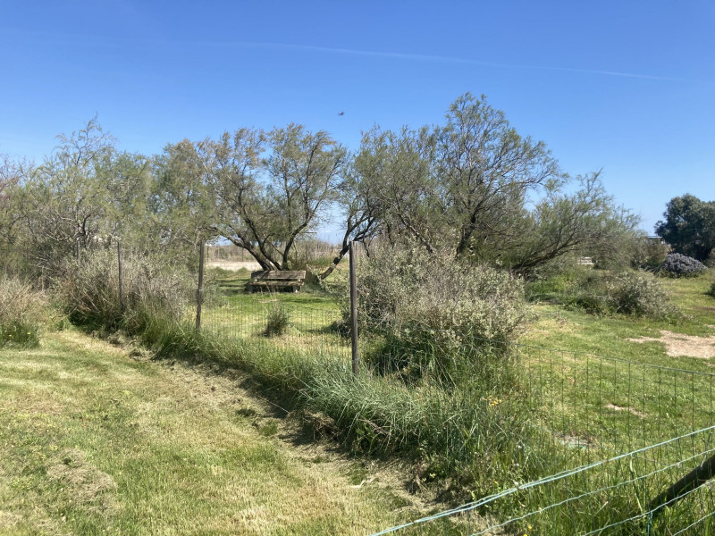 LOCATION VIC LA GARDIOLE CHEMIN DES CABANIS PEYROT MARC (7)