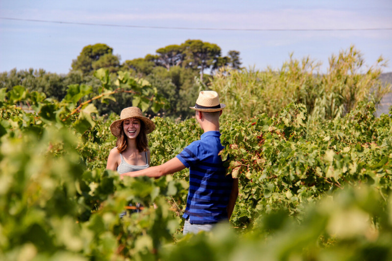 Couple dans les vignes