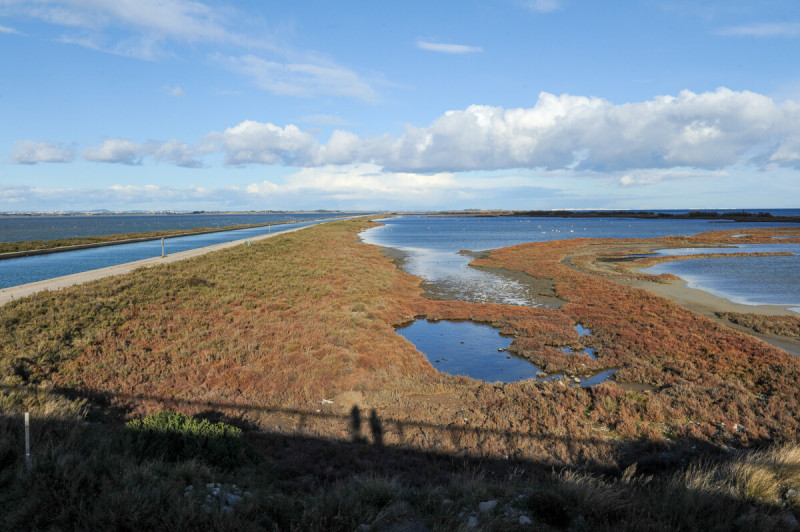 La plage des Aresquiers